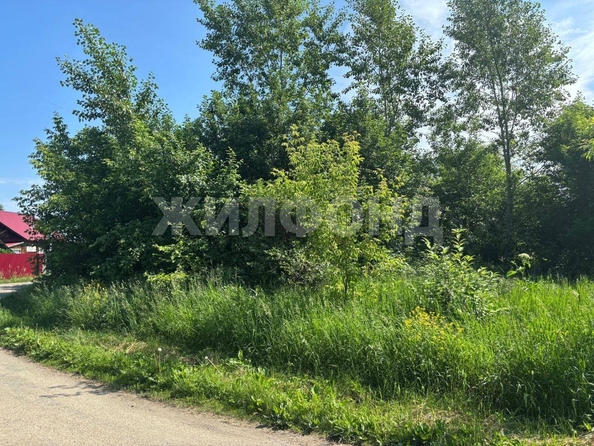 
  Продается дом, 41.3 м², поселок Логовой
. Фото 8.