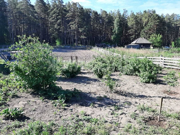 
  Продается дом, 40 м², поселок Нижняя Петровка
. Фото 4.