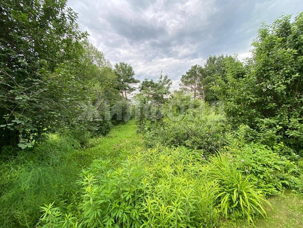 
  Продается дом, 167.8 м², село Лосиха
. Фото 6.