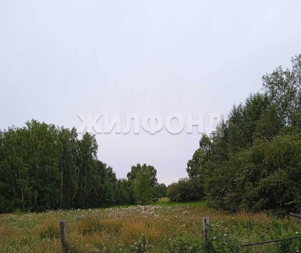 
  Продается дом, 88 м², село Глубокое
. Фото 9.