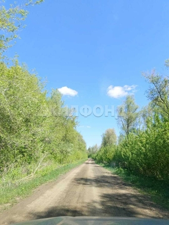 
  Продается земельный участок, 76 соток, село Шадрино
. Фото 5.