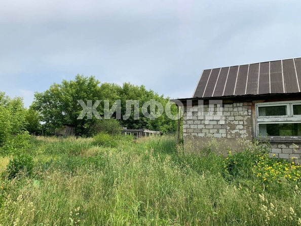 
  Продается земельный участок, 46 соток, поселок Черницк
. Фото 2.