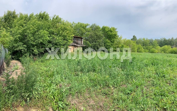 
  Продается земельный участок, 46 соток, поселок Черницк
. Фото 6.