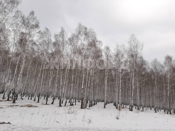 
  Продается дом, 130 м², СНТ Березовая роща
. Фото 13.