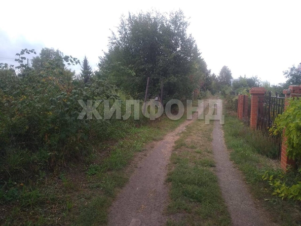 
  Продается земельный участок, 5 соток, СНТ Меланжист
. Фото 4.