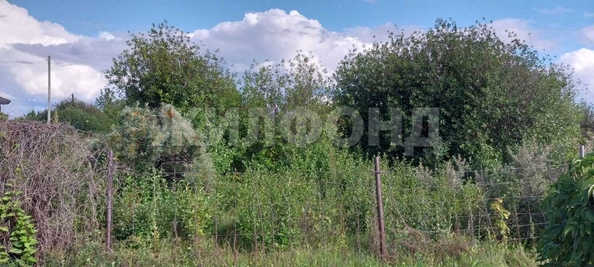 
  Продается земельный участок, 12 соток, СНТ Калинка
. Фото 5.
