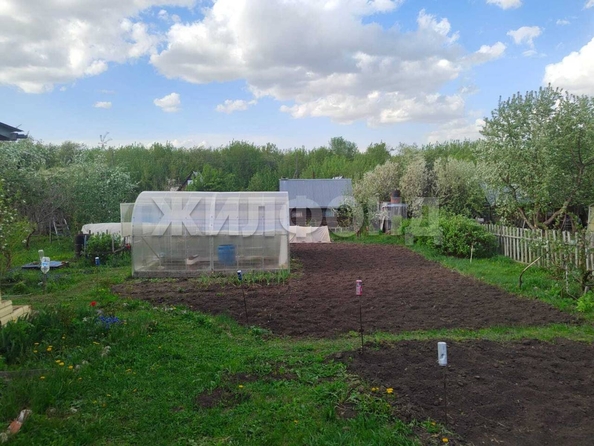 
  Продается дача, 46 м², СНТ Кооператор
. Фото 4.