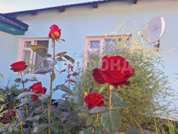 
  Продается дом, 181.9 м², рабочий поселок Тальменка
. Фото 4.