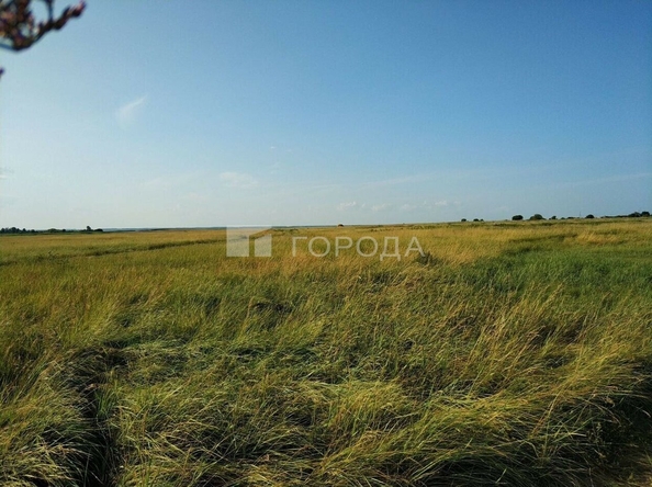 
  Продается земельный участок, 31.8 сотка, село Харитоново
. Фото 5.