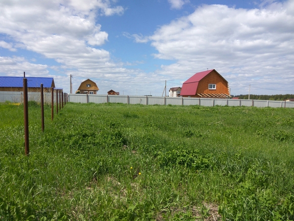 
  Продается земельный участок, 15 соток, село Зимари
. Фото 1.