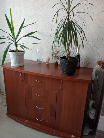 
  Продам 1-комн. квартиру 40 м². Фото 3.