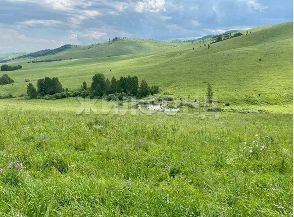 
  Продается земельный участок 10.5 соток. Фото 1.