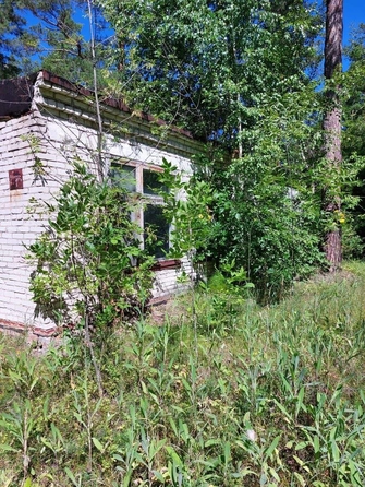 
  Продается универсальное помещение 2398.8 м². Фото 5.