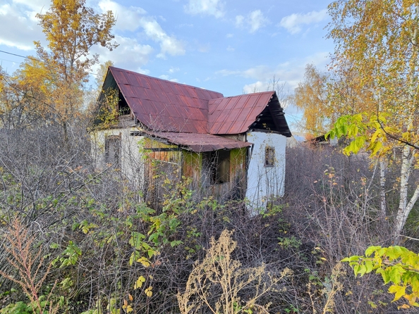 
  Продается земельный участок 8 соток. Фото 5.