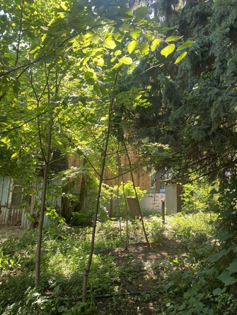 
  Продается дача 74 м². Фото 3.