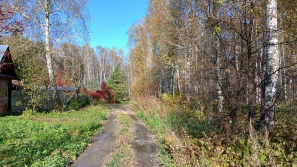 
  Продается земельный участок 5 соток. Фото 9.