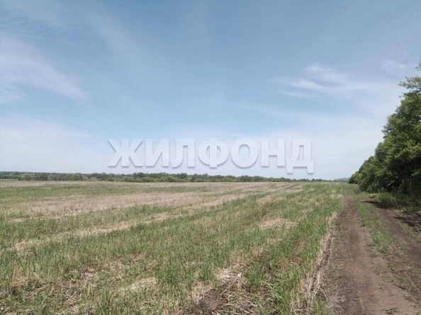 
  Продается земельный участок 0 соток. Фото 12.