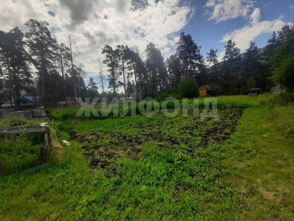 
  Продается земельный участок 0 соток. Фото 4.