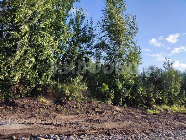 
  Продается земельный участок 0 соток. Фото 11.