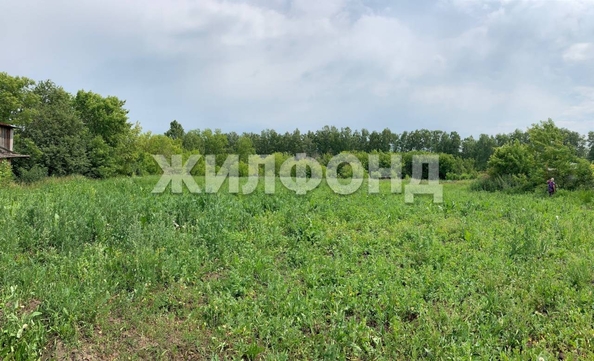 
  Продается земельный участок 0 соток. Фото 9.
