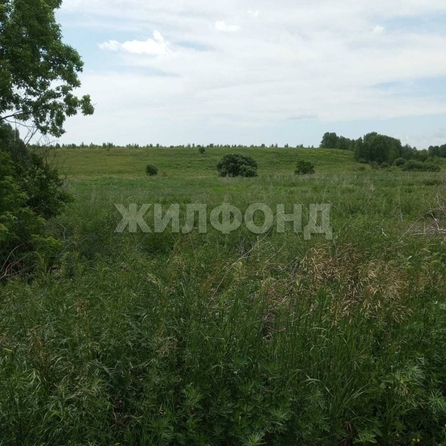
  Продается земельный участок 0 соток. Фото 8.