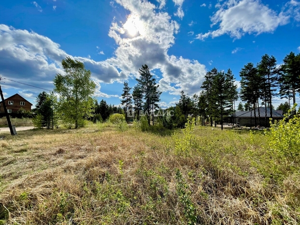 
  Продается земельный участок, 8 соток, территория ДНТ Клен
. Фото 4.