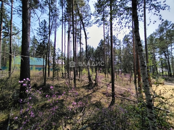 
  Продается земельный участок, 6 соток, село Горячинск
. Фото 4.