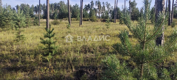 
  Продается земельный участок, 7.31 соток, Улан-Удэ
. Фото 5.