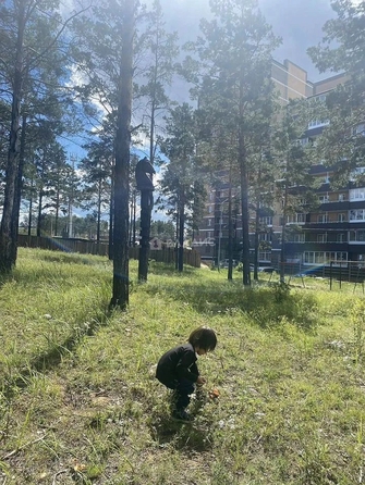 
  Продам 3-комн. квартиру 78.8 м². Фото 18.