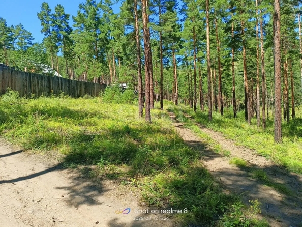 
  Продается земельный участок 8 соток. Фото 5.
