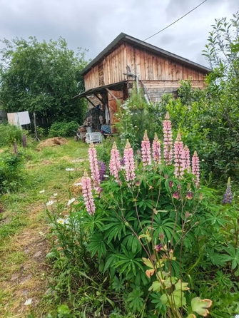
  Продается дом 85 м². Фото 24.
