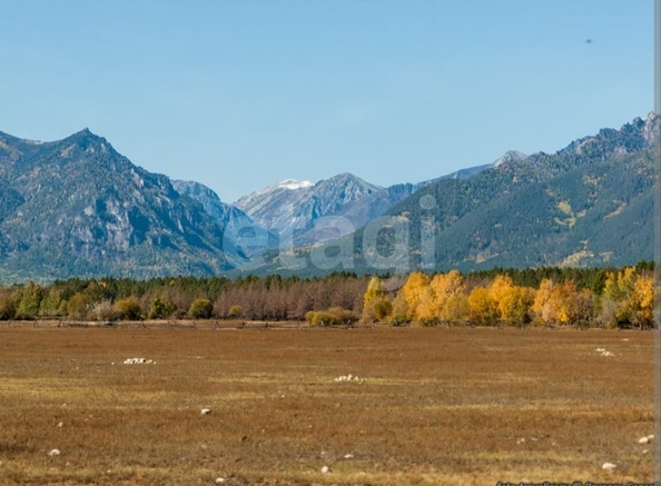 
  Продается земельный участок 20 соток. Фото 3.