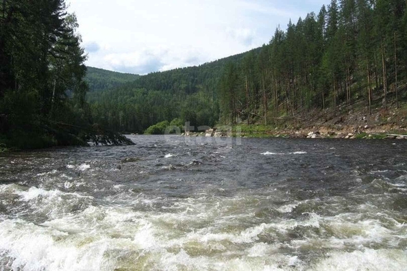 
  Продается земельный участок 39.35 соток. Фото 2.