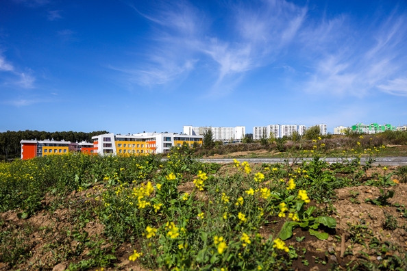 
  Продается 2-комн. квартира, 39.06 м², ЖК Юго-Западный, дом 15
. Фото 20.