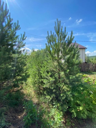 
  Продается дом, 337 м², Иркутск
. Фото 9.