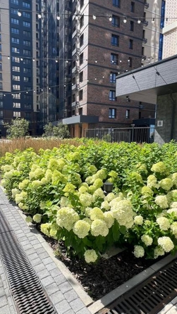 
  Продается 1-комн. квартира, 38 м², ЖК Сибиряков, блок-секция 3
. Фото 20.