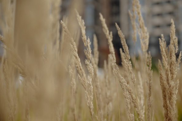 
  Продается 4-комн. квартира, 108.81 м², ЖК Сибиряков, блок-секция 7
. Фото 12.