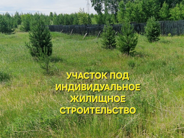 
  Продается земельный участок 10 соток. Фото 5.