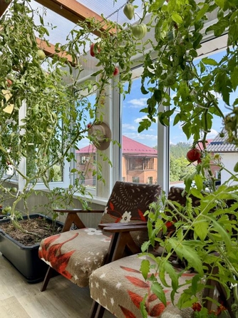 
  Продается дом 200.3 м². Фото 42.