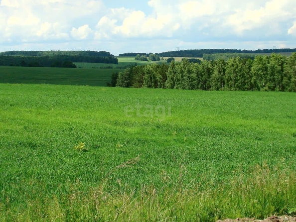 
  Продам  участок ИЖС, 15 соток, Костенково

. Фото 4.