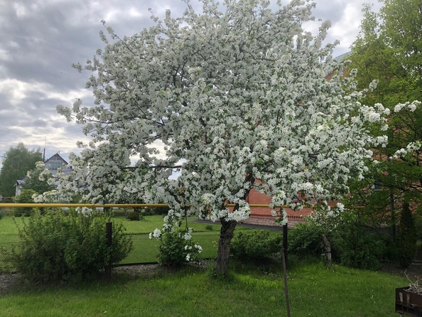 
   Продам дом, 194 м², Кемерово

. Фото 58.