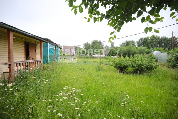 
  Продается дача, 40 м², Кемерово
. Фото 21.