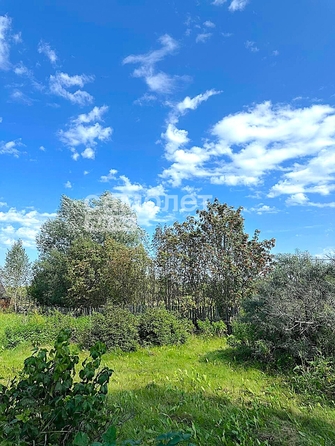 
  Продается дача, 41.6 м², деревня Креково
. Фото 6.