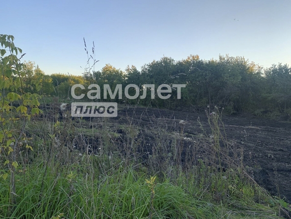 
  Продается земельный участок, 25 соток, деревня Мозжуха
. Фото 6.