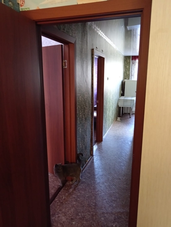 
  Сдам в аренду 3-комнатную квартиру, 60.6 м², Новокузнецк

. Фото 13.