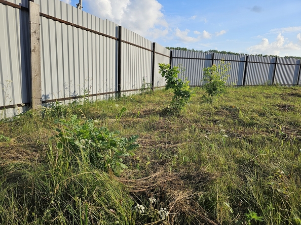 
  Продается дача, 53.6 м², поселок Новостройка
. Фото 65.