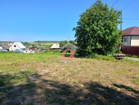 
  Продается земельный участок, 10 соток, село Андреевка
. Фото 2.