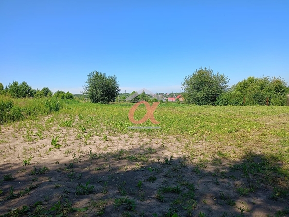 
  Продается земельный участок, 10 соток, село Андреевка
. Фото 4.