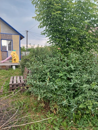 
  Продается дом, 70 м², Кемерово
. Фото 10.