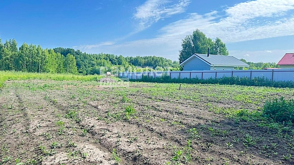
  Продается земельный участок, 15 соток, село Андреевка
. Фото 7.